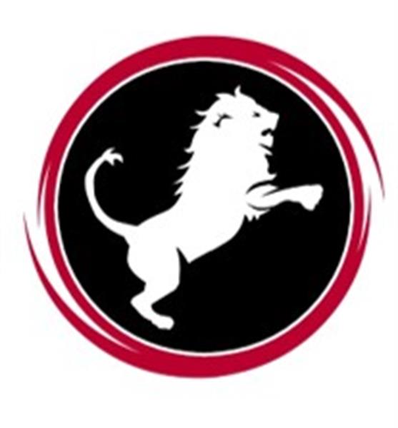 Nemean Solutions, LLC Nemean Solutions, LLC