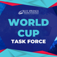 World Cup Task Force - Zoom Meeting