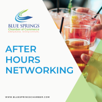 Business After Hours - Birdies Indoor Golf