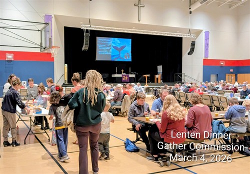 Gallery Image PXL_20260305_000602256.ACTION_PAN-02.ORIGINAL-2.jpg