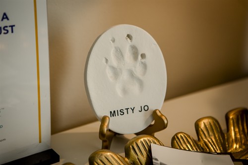 Gallery Image MistyJo0033.jpg