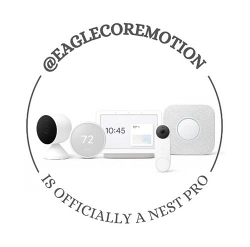 Your Google Nest Pro Local Installer