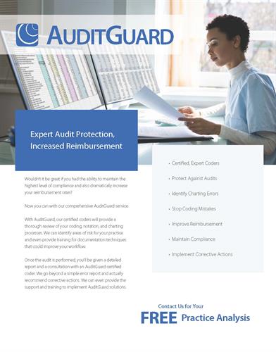 Gallery Image AuditGuard_(1).jpg