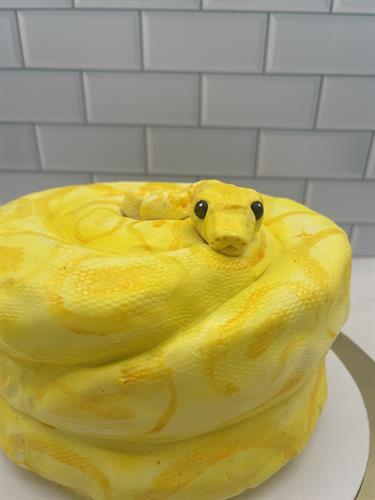 Gallery Image IMG_4205.jpeg