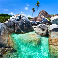 Nita Rodriguez - Dream Vacations