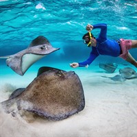 Nita Rodriguez - Dream Vacations | DuckMyTravel.com
