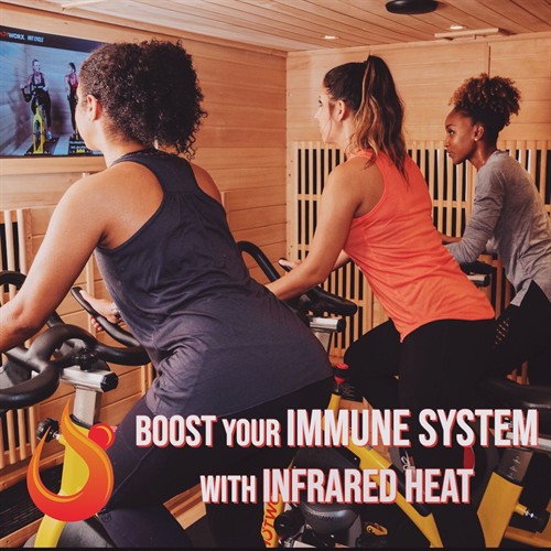 Gallery Image boost_your_immune_system.jpg