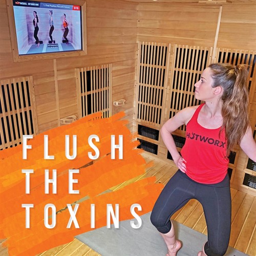 Gallery Image flush_the_toxins.jpg