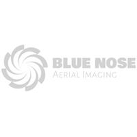 Blue Nose Aerial Imaging of Memphis