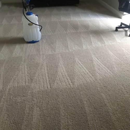 Gallery Image safedrypic2.jpg