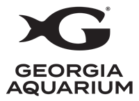 Georgia Aquarium