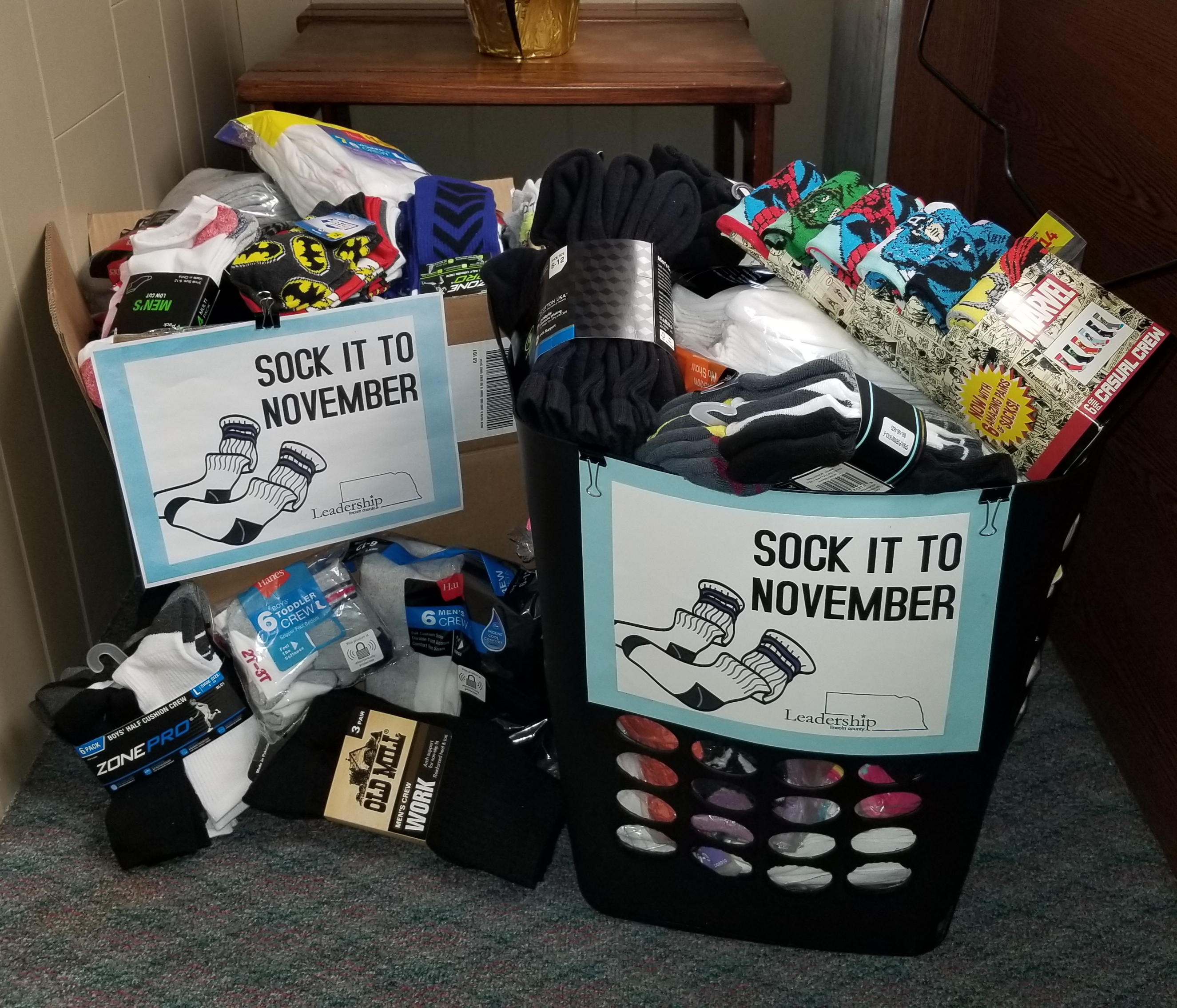 Image for Leadership Lincoln County- Sock it to November ~ December