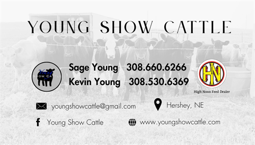 Business Card Creation