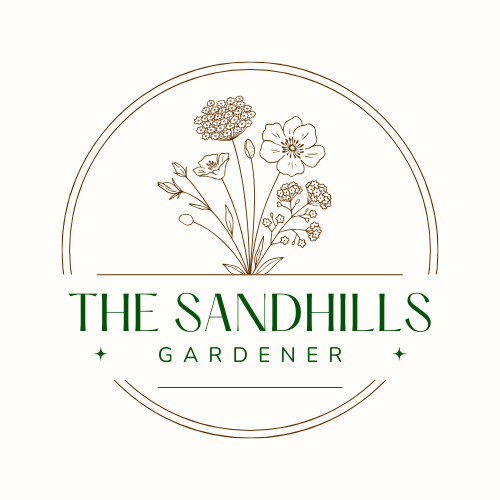 Example of Work - Logo