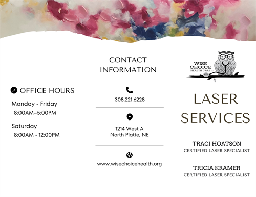 Business Brochure Creation