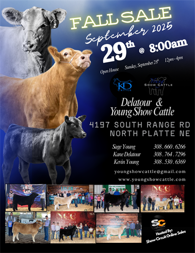 Business Flyer Creation