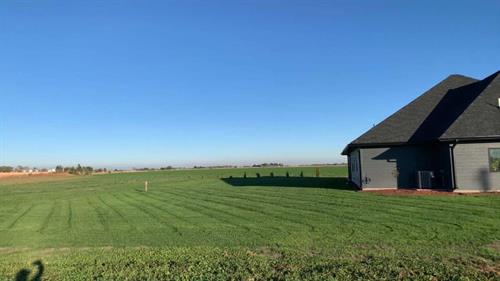 Established Law, 2nd Mow, 4 weeks post application