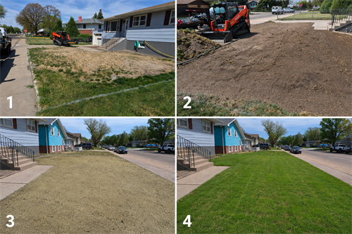 Yard Rehab