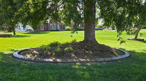 Gallery Image 1000001089.jpg