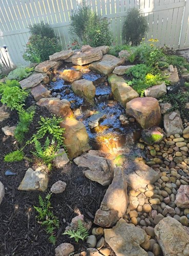 Gallery Image 1000001093.jpg