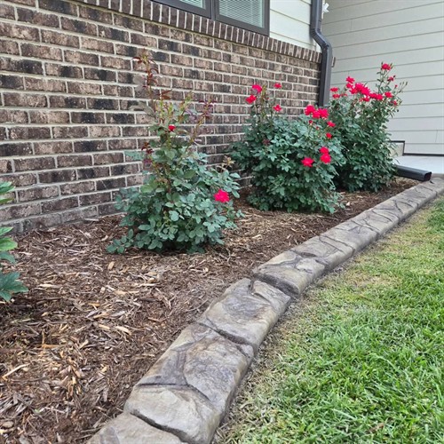 Gallery Image 1000016081.jpg