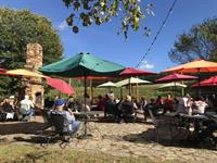 Cartecay Vineyards Live music with Gregg Erwin