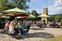 Cartecay Vineyards Live Music with Dom Wier