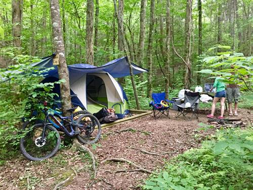 If you don't feel like glamping, we have several campsites to accommodate tents, hammocks, car camping, and RVs
