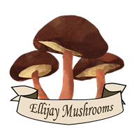 Ellijay Mushrooms