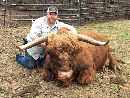 I understand land as a fellow cattleman and ranch. This was my registered Highland bull Mr. Big