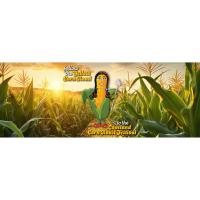 Loveland Corn Roast Festival