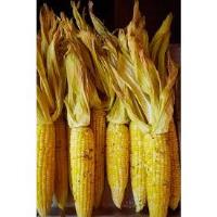 SAVE THE DATE- 130TH ANNUAL LOVELAND CORN ROAST FESTIVAL
