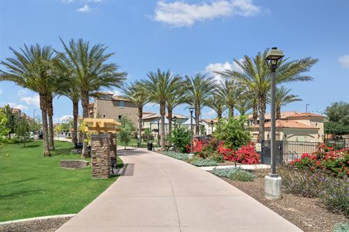 Multi Family_Solana Town Center at Cooley Station