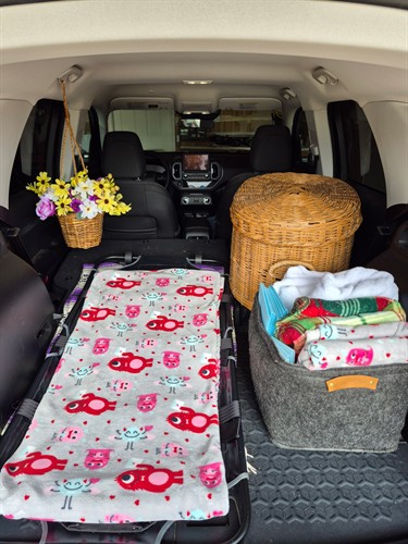 Vehicle Setup For Aftercare Transport