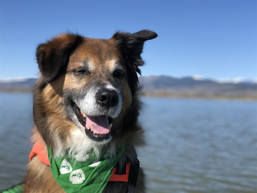 Gallery Image IMG_2274.jpg