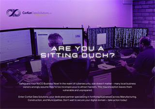 CorKat Data Solutions CorKat Data Solutions