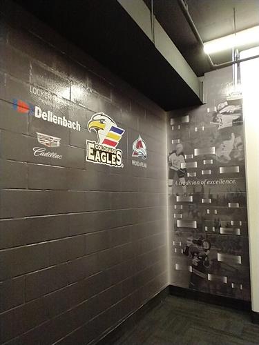 Colorado Eagles Wall Decals