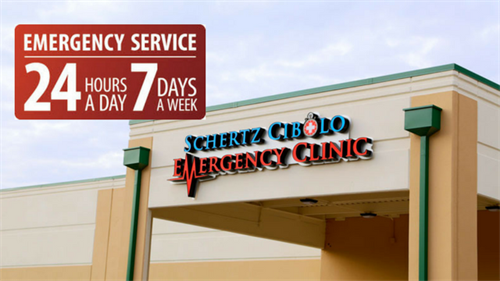 Gallery Image 359440824_761551762636737_8632587076548369501_n.png