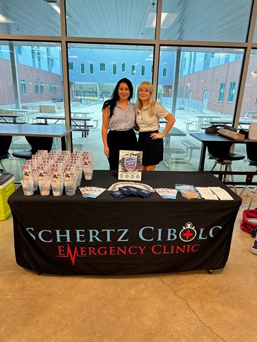 Gallery Image dffc.jpg