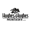 Hughes & Hughes Nursery