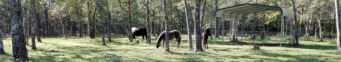 The Wild Horse Preserve at Grayce Wynds