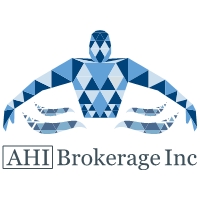 About Health Insurance Brokerage Inc