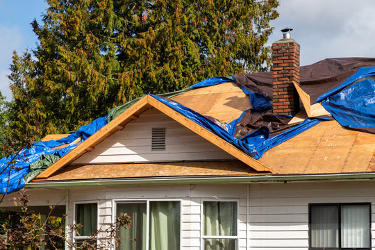 Roof tarp and repairs