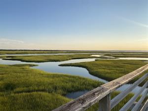 The Tides of Shallotte 