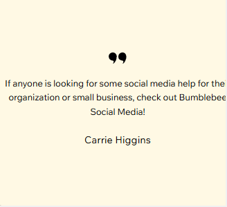 Bumblebee Digital Marketing - - BumblebeeDigitalMarketing.com - 910-800-2899 - Bumblebee Social Media - Full Service Digital Marketing 