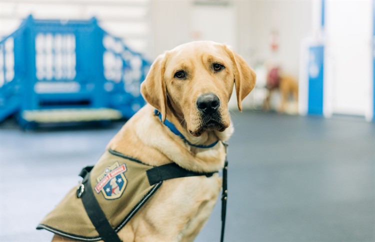 Gallery Image Lannon_2_-small_file_size.jpg