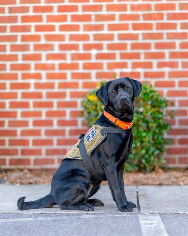 Gallery Image cfs_111725-18.jpg