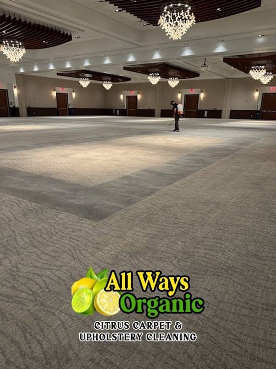 Expert Commercial Carpet Cleaning
