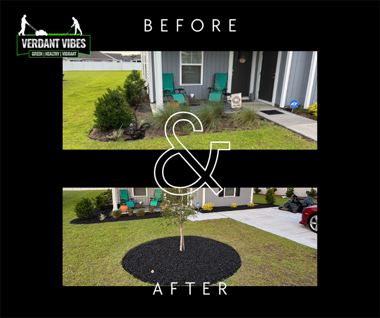 Before & After - Residential Landscaping Project