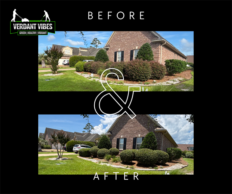 Before & After - Residential Landscaping Project